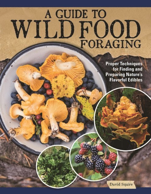 David Squire - Guide to Wild Food Foraging, E-bok