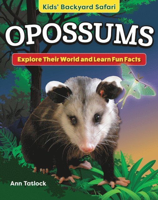 Ann Tatlock - Kids' Backyard Safari: Opossums, E-bok