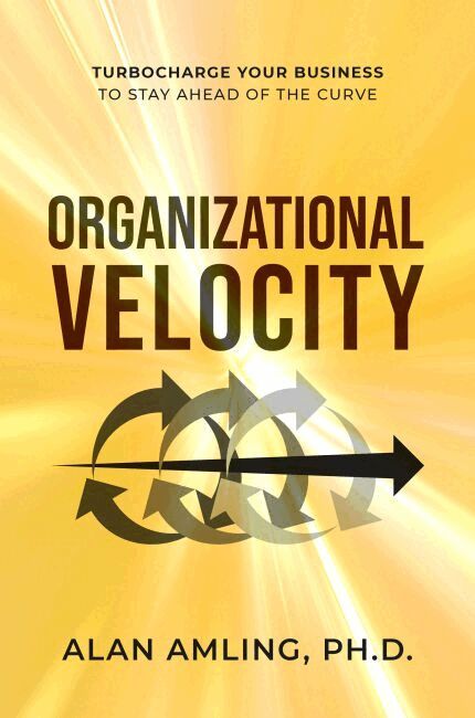 Sylvana Storey - Organizational Velocity, Inbunden