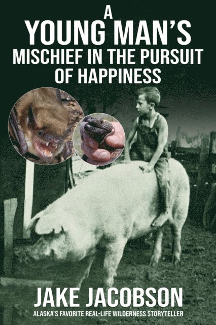 Jake Jacobson - Young Man's Mischief in the Pursuit of Happiness, E-bok