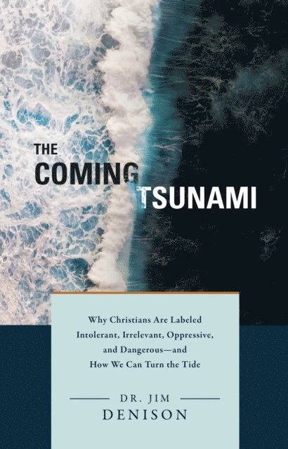 Jim Denison - Coming Tsunami, E-bok
