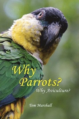 Tom Marshall - Why Parrots?: Why Aviculture?, Häftad