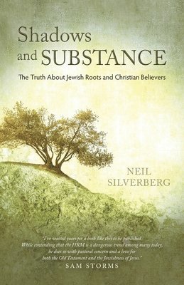 Neil Silverberg - Shadows and Substance, Häftad