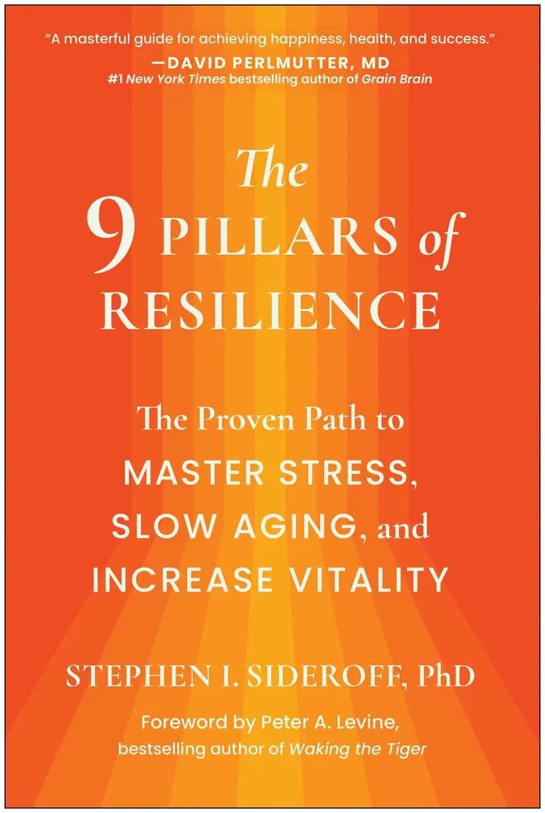 9 Pillars of Resilience