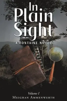Meighan Ammenwerth - In Plain Sight, Häftad. Tillgänglighet: Lägg i varukorg