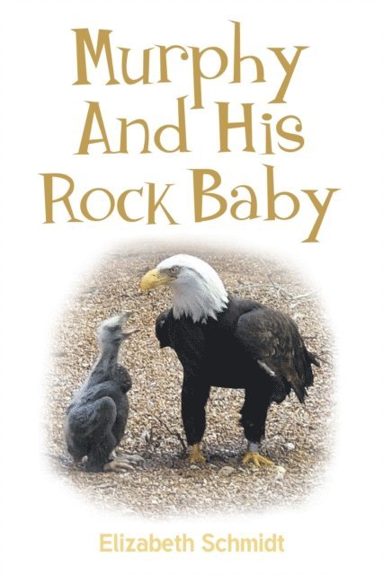 Elizabeth Schmidt - MURPHY AND HIS ROCK BABY, E-bok. Tillgänglighet: Lägg i varukorg