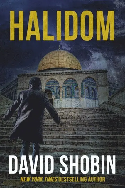 David Shobin - Halidom, E-bok. Tillgänglighet: Lägg i varukorg