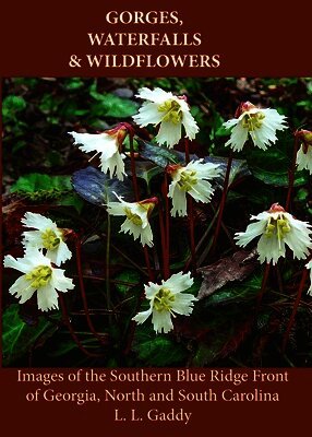 L L Gaddy - Gorges, Waterfalls & Wildflowers, Häftad. Tillgänglighet: Lägg i varukorg