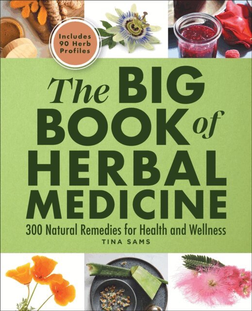 Tina Sams - Big Book of Herbal Medicine, E-bok