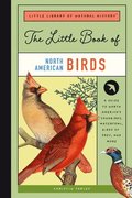 Little Book of North American Birds