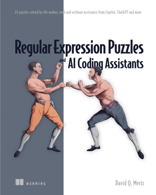 David Mertz - Regular Expression Puzzles and AI Coding Assistants, E-bok