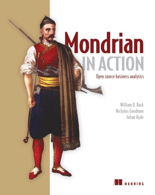 Nicholas Goodman, William Back, Julian Hyde - Mondrian in Action, E-bok