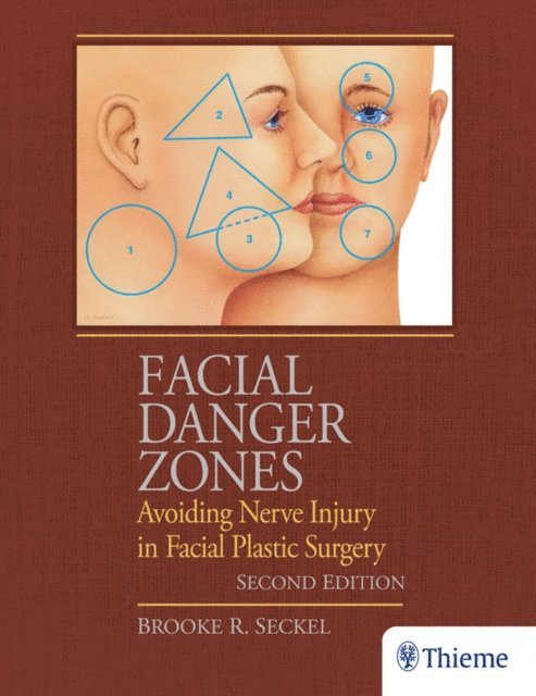 Brooke Seckel - Facial Danger Zones, E-bok