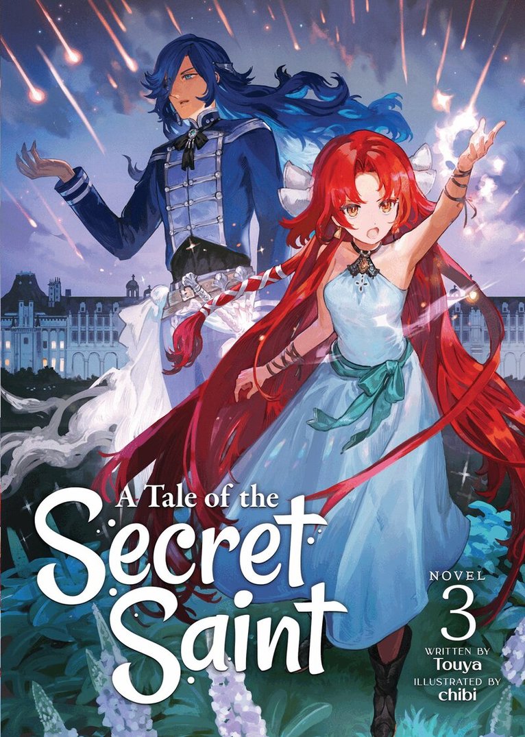 Touya - Tale of the Secret Saint (Light Novel) Vol. 3, Häftad