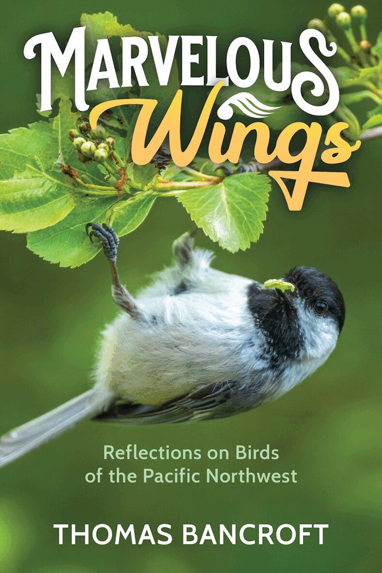 Thomas Bancroft - Marvelous Wings, Häftad. Tillgänglighet: Lägg i varukorg