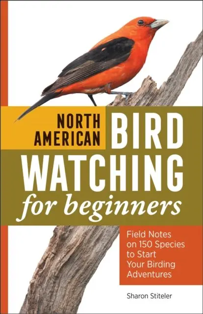 Sharon Stiteler - North American Bird Watching for Beginners, E-bok. Tillgänglighet: Lägg i varukorg