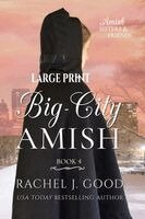 Rachel J Good - Big-City Amish, Häftad