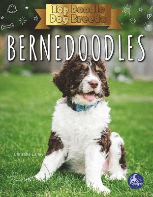 Christina Earley - Bernedoodles, Inbunden. Tillgänglighet: Lägg i varukorg