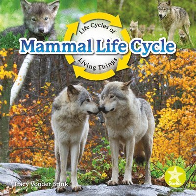 Tracy Vonder Brink - Mammal Life Cycle, Inbunden