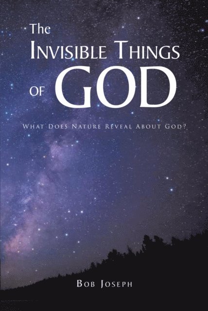 Bob Joseph - Invisible Things of God, E-bok. Tillgänglighet: Lägg i varukorg