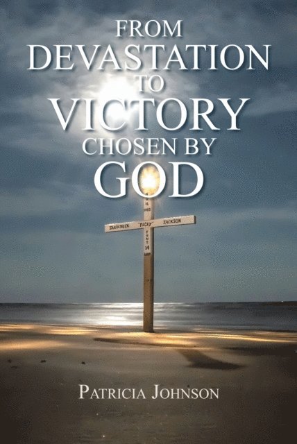 Patricia Johnson - From Devastation to Victory, E-bok