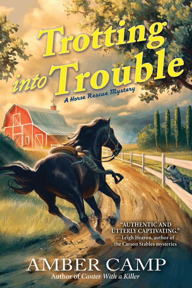 Amber Camp - Trotting into Trouble, Inbunden. Tillgänglighet: Lägg i varukorg