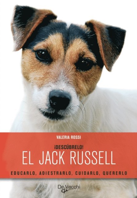 Valeria Rossi - ¡Descúbrelo! El Jack Russell. Educarlo, adiestrarlo, cuidarlo, quererlo, E-bok. Tillgänglighet: Lägg i varukorg