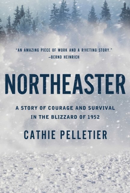 Cathie Pelletier - Northeaster, E-bok. Tillgänglighet: Lägg i varukorg