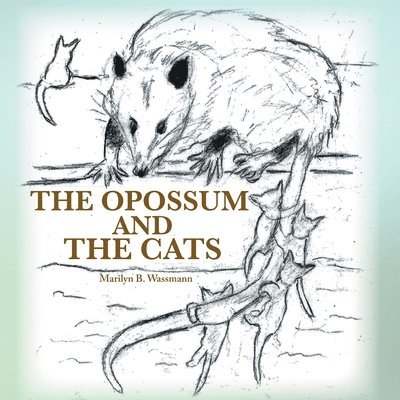 Marilyn B Wassmann - Opossum and the Cats, Häftad. Tillgänglighet: Lägg i varukorg