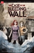 Case of the Bleeding Wall