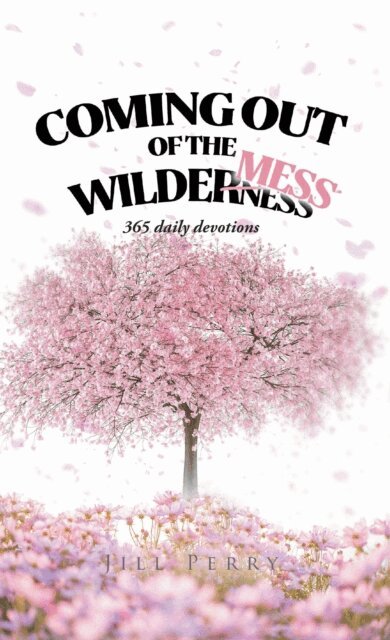 Jill Perry - Coming Out of the WilderMess, E-bok