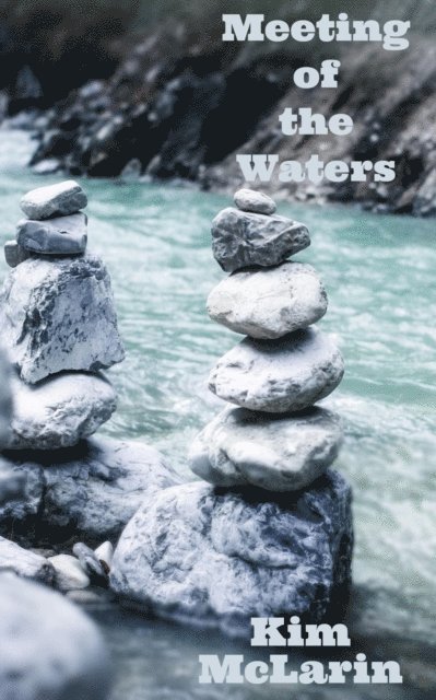 Kim McLarin - Meeting of the Waters, E-bok