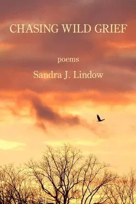 Sandra J Lindow - Chasing Wild Grief, Häftad. Tillgänglighet: Lägg i varukorg