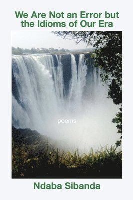 Ndaba Sibanda - We Are Not an Error but the Idioms of Our Era, Häftad