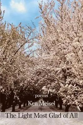 Ken Meisel - Light Most Glad of All, Häftad. Tillgänglighet: Lägg i varukorg