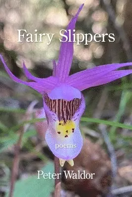 Peter Waldor - Fairy Slippers, Häftad. Tillgänglighet: Lägg i varukorg