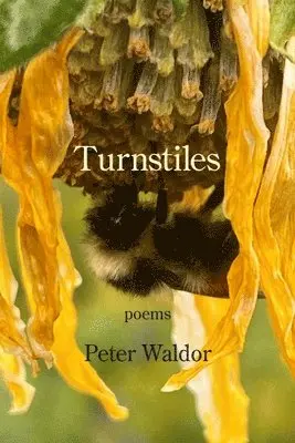 Peter Waldor - Turnstiles, Häftad. Tillgänglighet: Lägg i varukorg