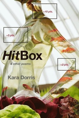 HitBox