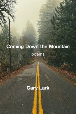 Gary Lark - Coming down the Mountain, Häftad