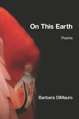 Barbara DiMauro - On This Earth, Häftad. Tillgänglighet: Lägg i varukorg