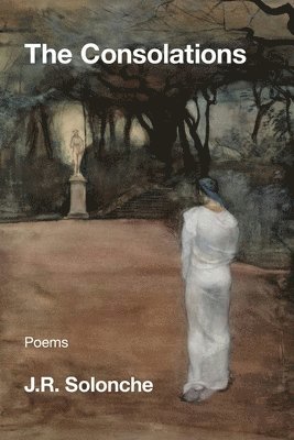 J R Solonche - Consolations, Häftad