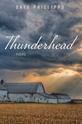 Daye Phillippo - Thunderhead, Häftad