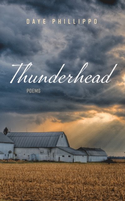Daye Phillippo - Thunderhead, E-bok