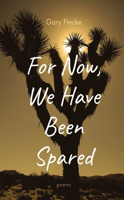 Gary Fincke - For Now, We Have Been Spared, E-bok