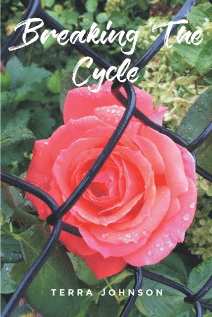 Terra Johnson - Breaking The Cycle, E-bok. Tillgänglighet: Lägg i varukorg