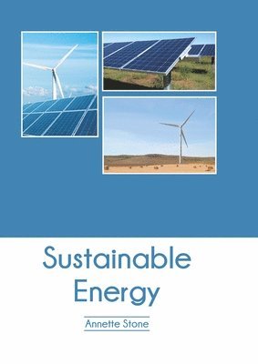 Annette Stone - Sustainable Energy, Inbunden