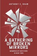 Gathering of Broken Mirrors
