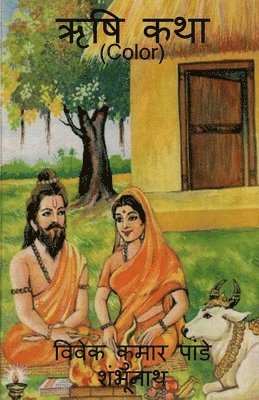 Vivek Pandey - Saint Story Color / ऋषि कथा (Color), Häftad