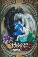 Jessica Feinberg - Birthstone Dragons, Häftad. Tillgänglighet: Lägg i varukorg
