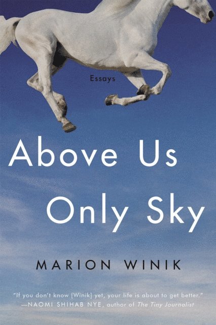 Marion Winik - Above Us Only Sky, E-bok